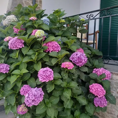 Mito's House & Douro View Отель типа 