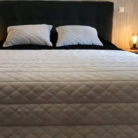 Bed & Breakfast Mito's House & Douro View