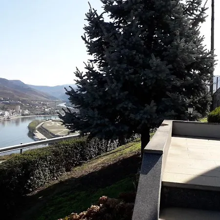 Alojamento de Acomodação e Pequeno-almoço Mito's House & Douro View *
