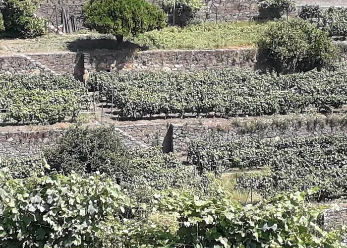 B&B Mito's House & Douro View 페소다레과