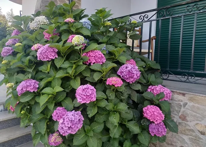 Mito's House & Douro View B&B