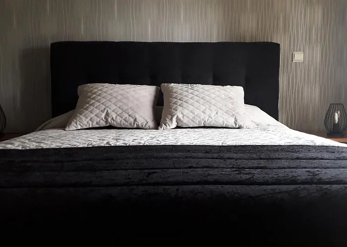 Mito's House & Douro View 3* 페소다레과