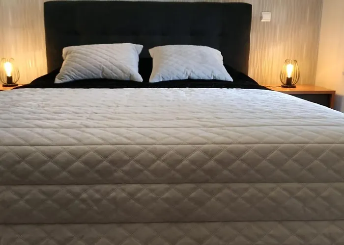 Bed & Breakfast Mito's House & Douro View